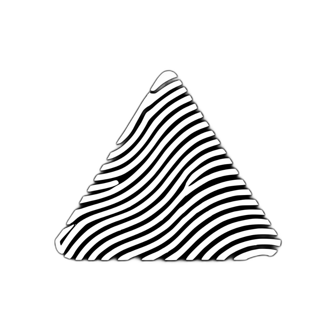 project logo